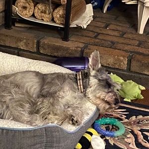 Meet your Posher, Gemma